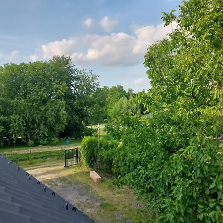 Szary 0 * Wieprz (Wadowice)